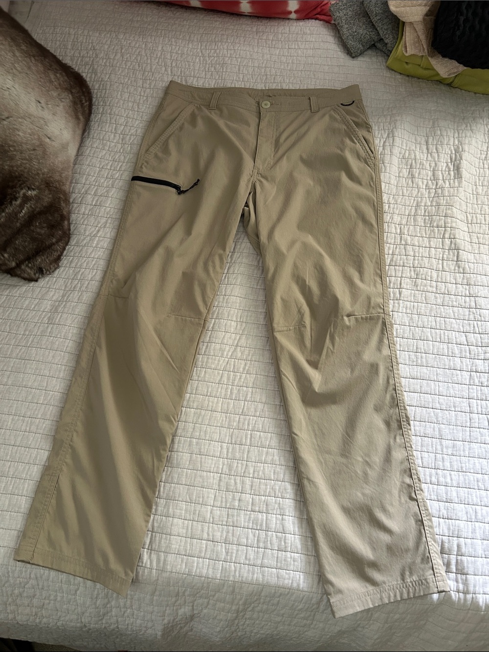 REI co-op light tan nylon outdoor hiking work casual Gorpcore pants 34” men’s